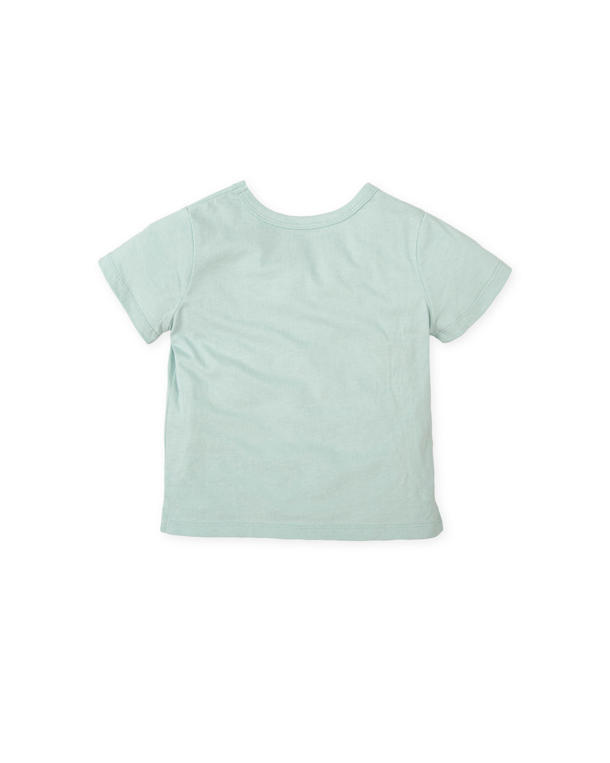 CAMISETA AGUAMARINA