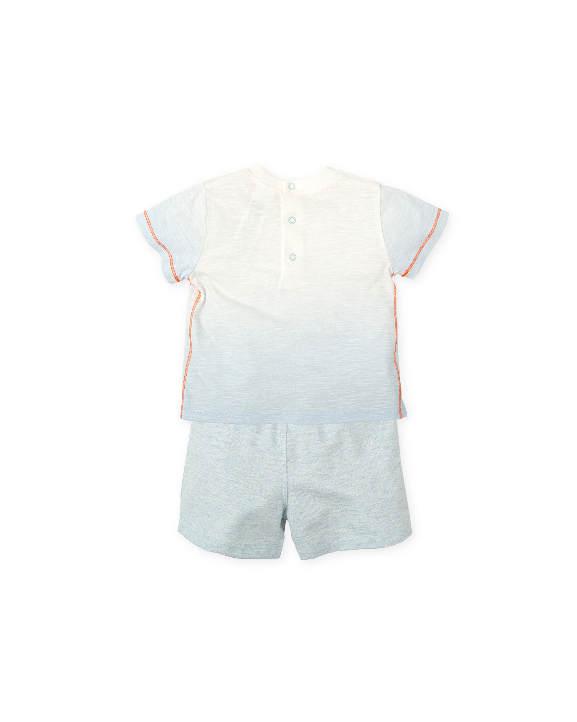 CONJUNTO 2 PZAS. PORCELANA