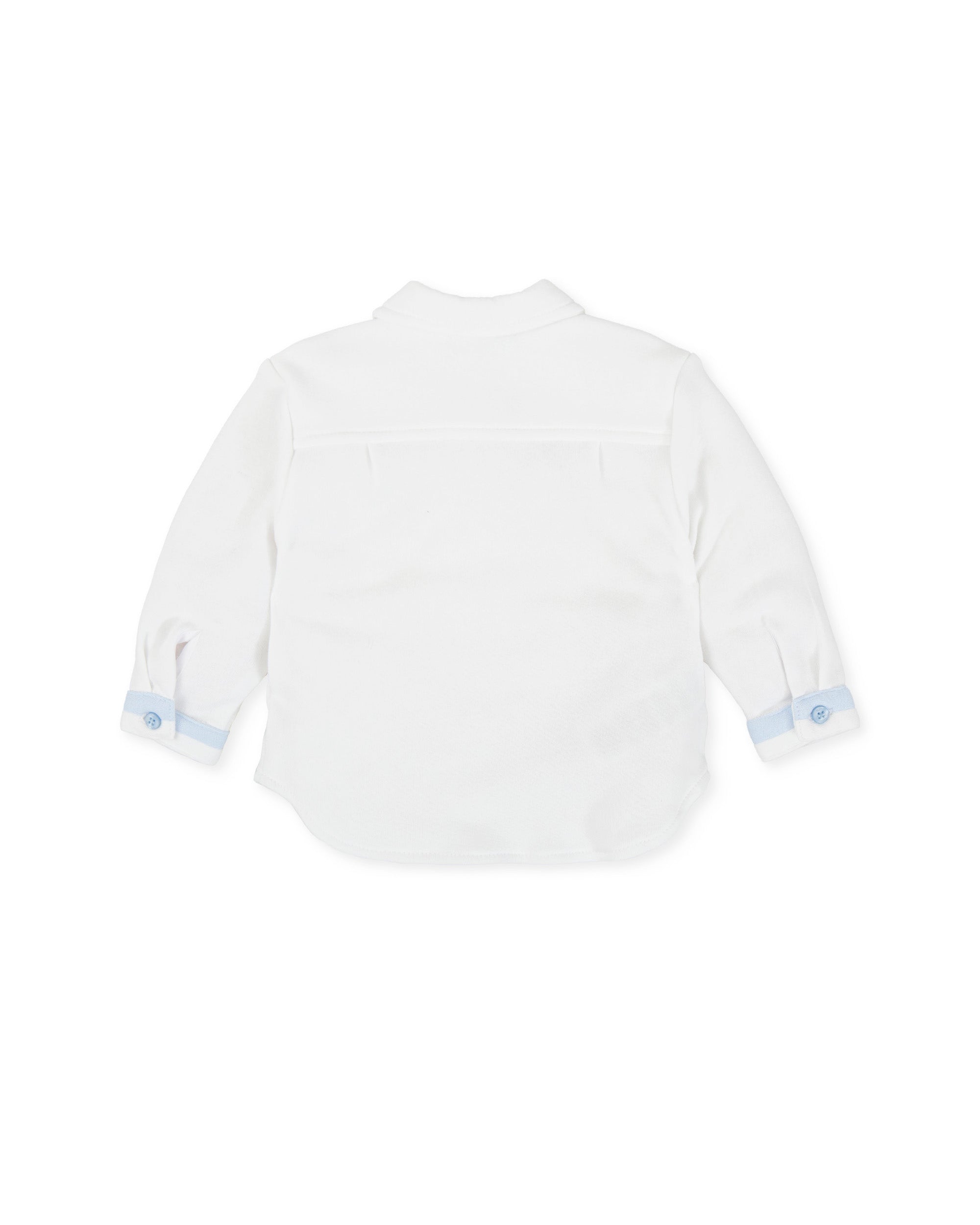 CAMISA