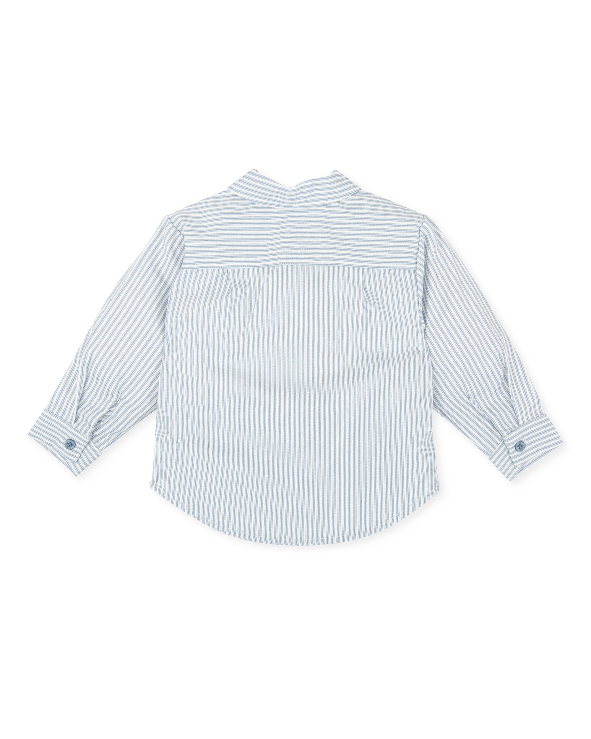CAMISA